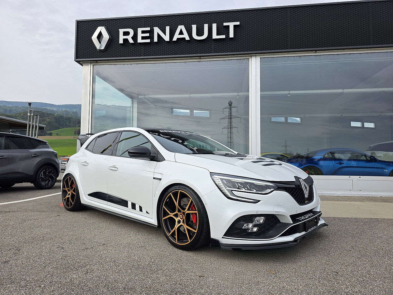 Renault kaufen bei Schwägli